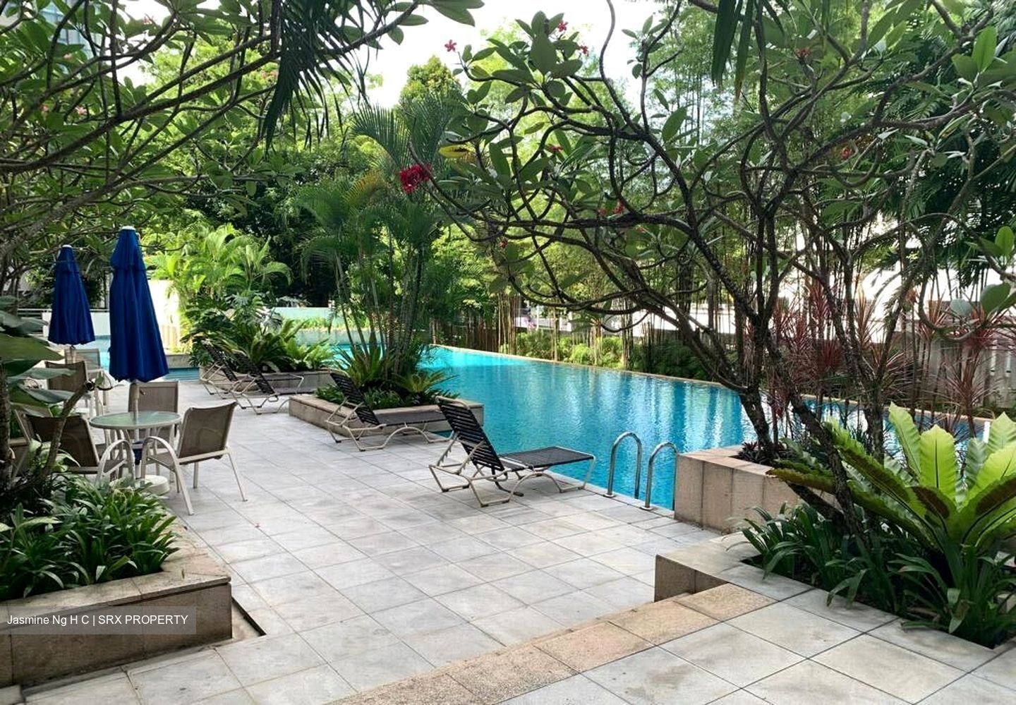 Mandale Heights (D11), Apartment #409843861